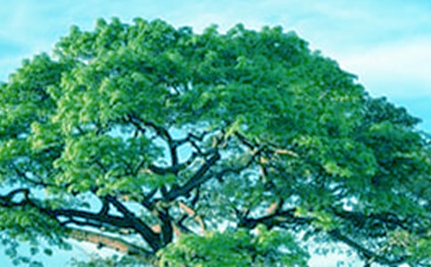 ��л��������800�֣���ѡ12ƪ��