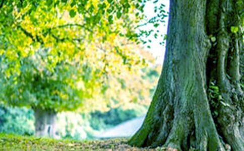 С�ݺʹ��������