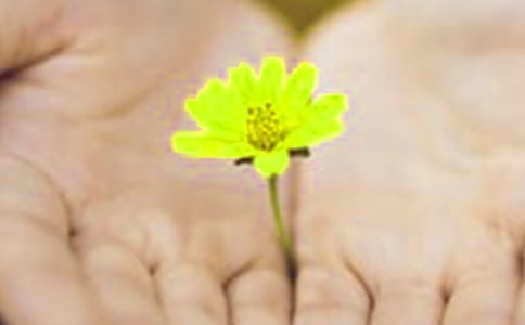 [�������ѵ�Ǹ�Ļ�]�������ѵ�Ǹ�Ļ�