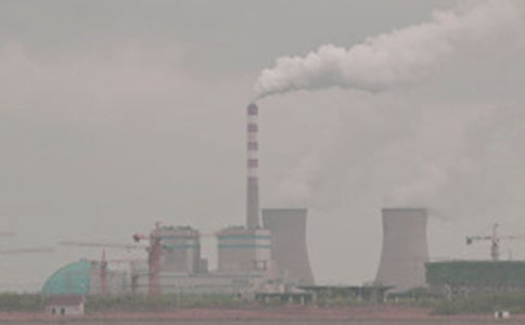 �糧���޹����ܽ�