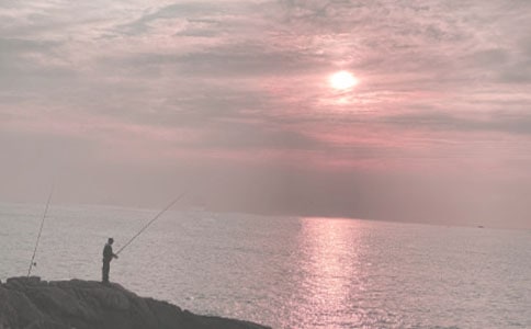 ��ʵ�á�Сè���������5ƪ