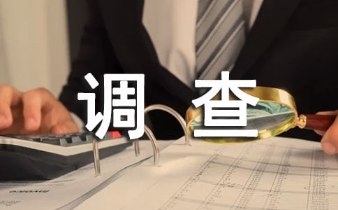 社会调查报告模板(合集)