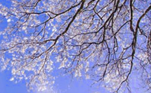 描写冬天的四字词语及其解释(精选210个)