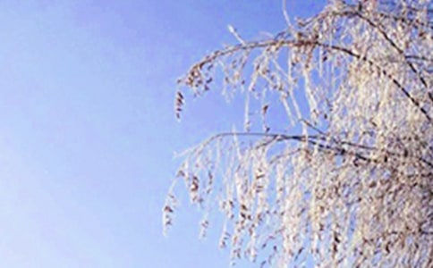 ���쾰ɫ����������