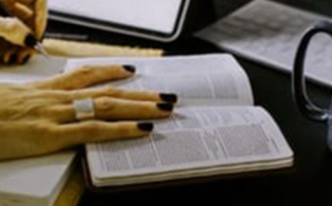 ʮ���Ϊʲô����С����ϡ�