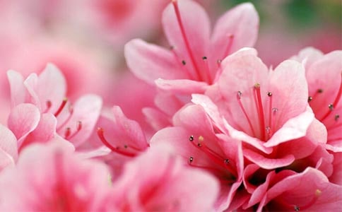 �ž黨���ġ�����54ƪ��