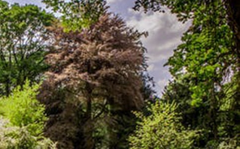 ��ѡ���ݷ羰�����ľ���24��