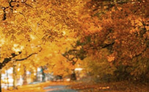 ���ݷ羰�����ľ���22��