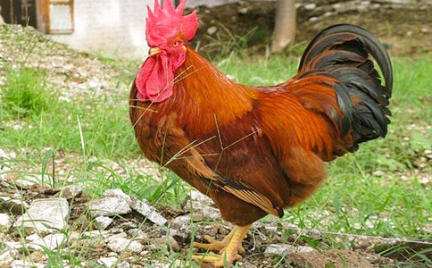 �ö��Ĺ������ľ�ѡ(15ƪ)