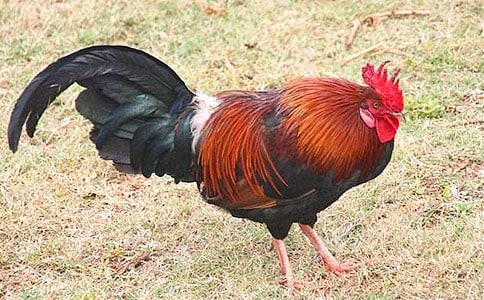 �󹫼�����[����]