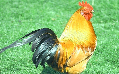 �󹫼�����15ƪ[ͨ��]