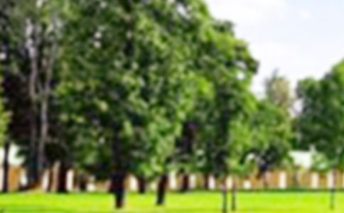 ���޹�԰������ƪ