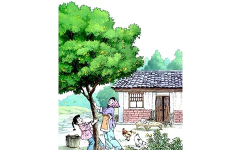 �����꡷����