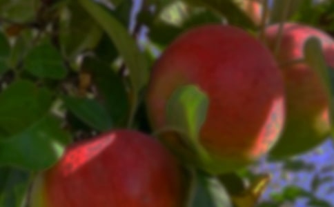 �����㣩���յĹ�԰����