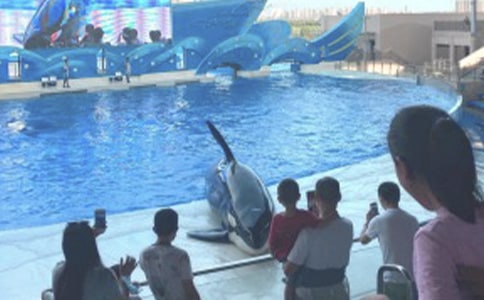 �������غ���԰����(2ƪ)