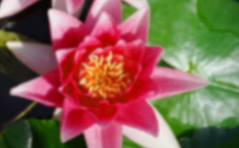 �ɻ��Ĺ۲��ռ�