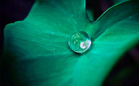 ��ҶԲԲ�̰����Ͼ�ƪ