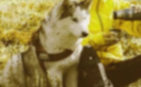 ���붯��ĺ�г����4ƪ