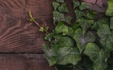 ���Ƽ�����г������4ƪ