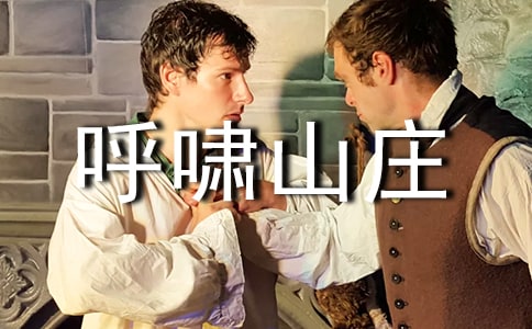 《呼啸山庄》读后感1000字