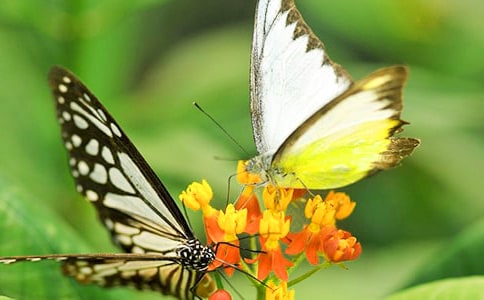 ��д�����Ĺ۲��¼�ռ�