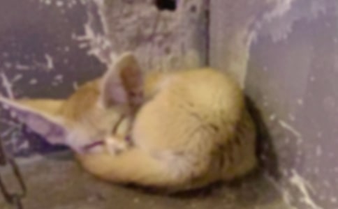 ��ѻ�ͺ���Ĺ��¾�Ʒ[15ƪ]