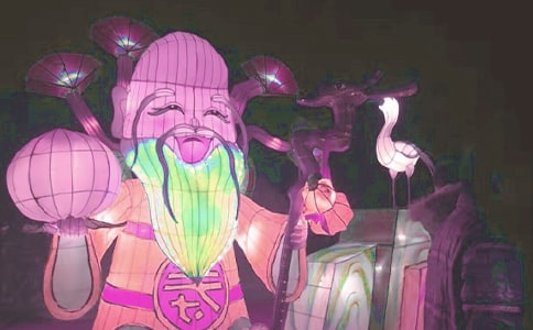 观花灯作文700字