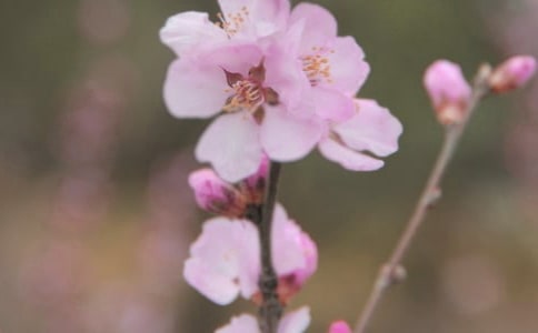 ���仨���������ӻ��49��