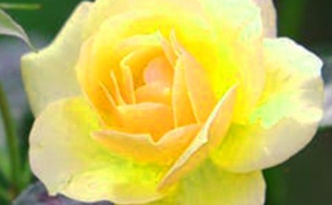 ���ڼ�����Ļ�������700��