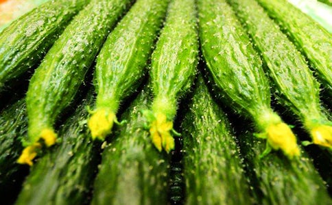 ������ƹ�����