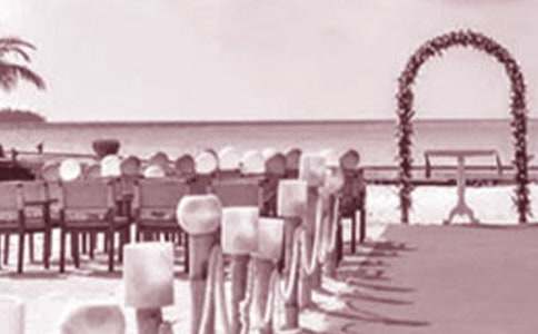 �������ִ��ٻ鷶��