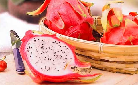 ����������15ƪ�����䡿