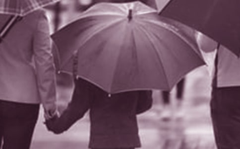 ��ͥ���������(����)