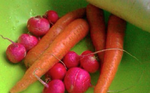 ��������������ȫ������