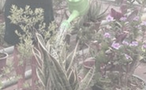 ���������Ķ������