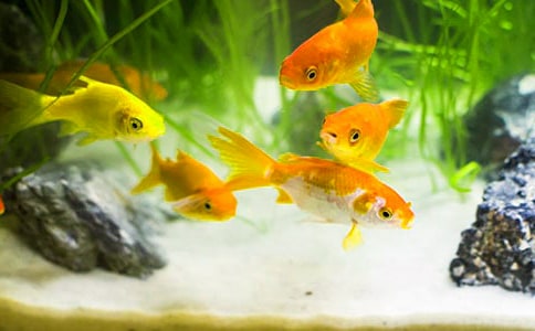 ����۲��¼�ռ����·���