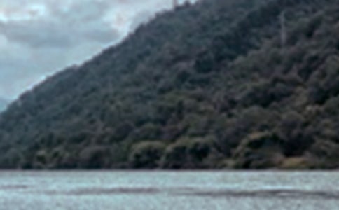 西湖的景色作文