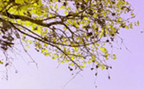 ��ɫ��������ժ¼70��