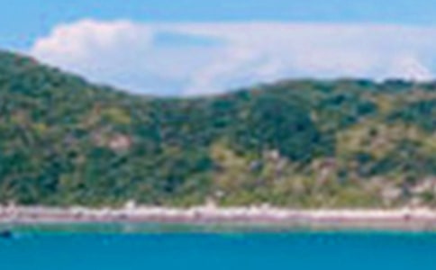 2021�꾰ɫ�������ӻ���96��