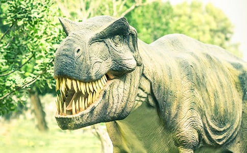 ����԰֮�����Ļ��(15ƪ)