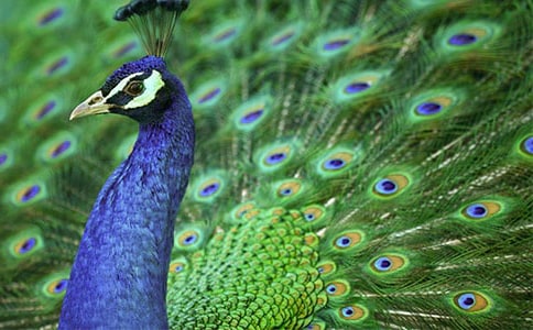 ��ȸ���Ϸɶ����400�֣���ѡ17ƪ��