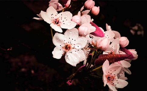 �滨������