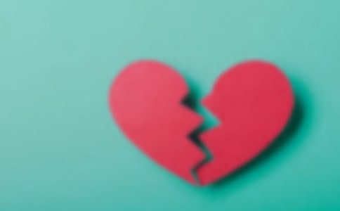 [����]���������15ƪ