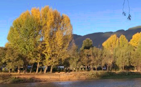 �����ųǵ�����