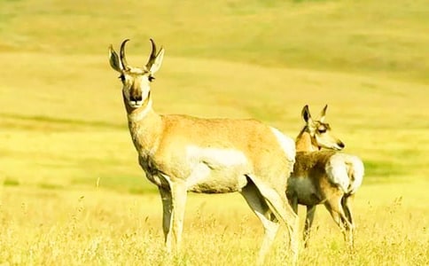 ��������Ĺ�ݡ������15ƪ