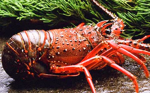 С��Ϻ������(�ر�)