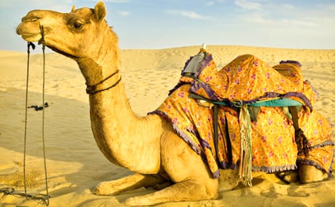 �����մ̡����Ķ��⼰��