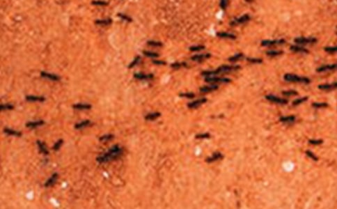 С���Ϲ��ӿ�ͼд��