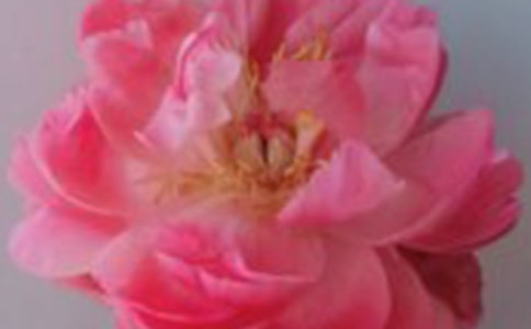 ʷ�����������õ�塷�Ķ���ϰ����