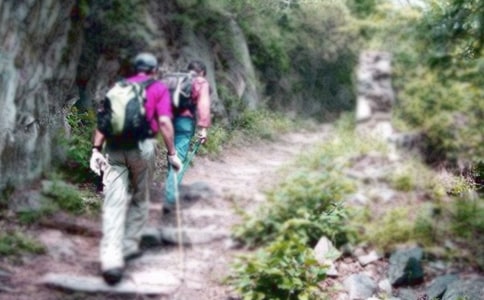 ��ɽ����Ȥ����